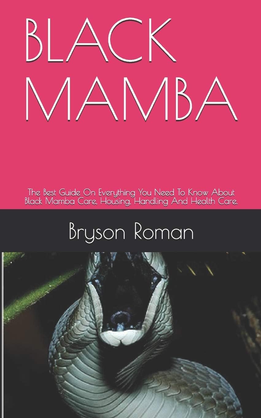 BLACK MAMBA: The Best Guide On Everything You Need To Know About Black Mamba Care, Housing, Handling And Health Care.
