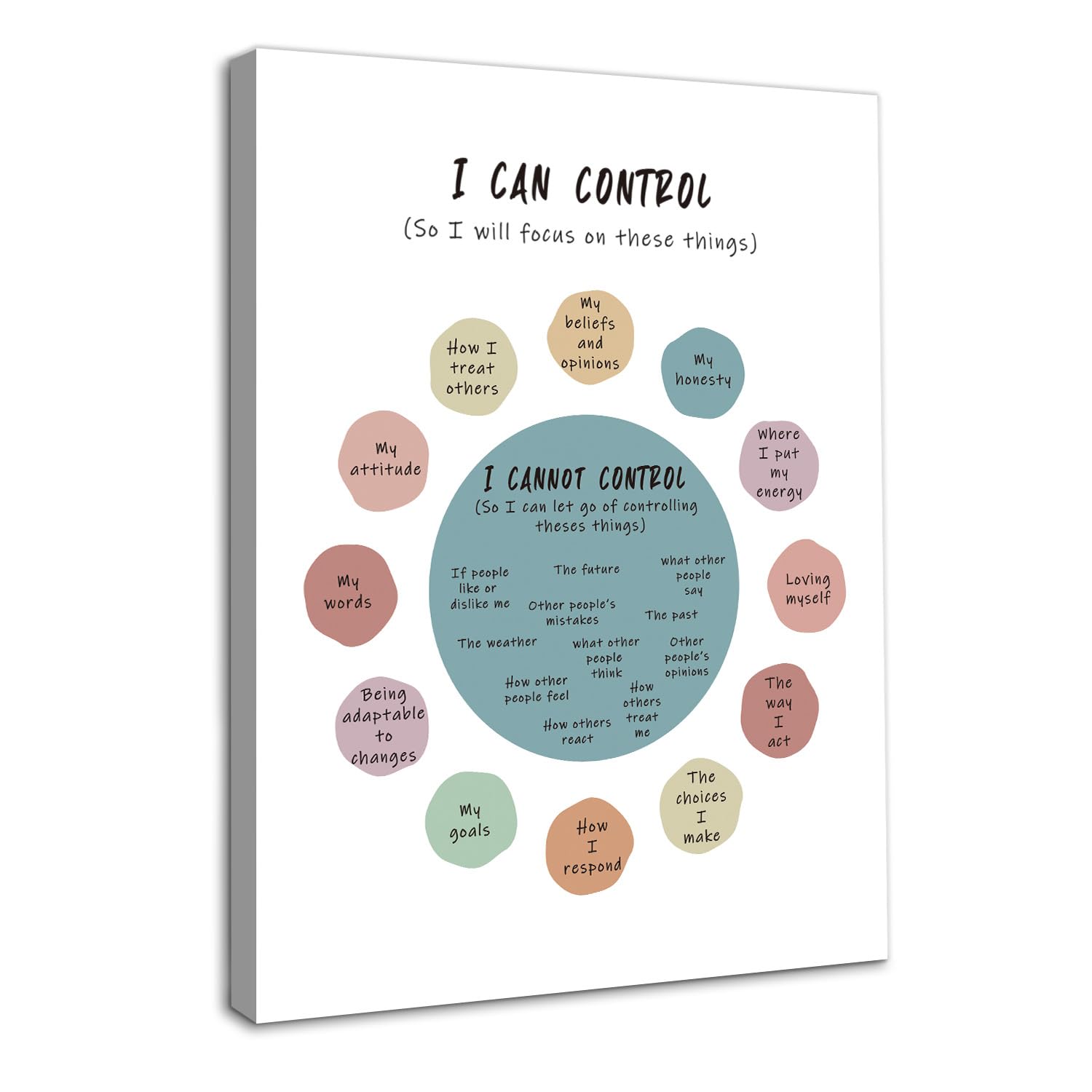 NymphFable Framed Mental Health Wall Art, Circle of Control Positive Affirmations Poster for Office Bedroom Classroom Decor 12x16 in