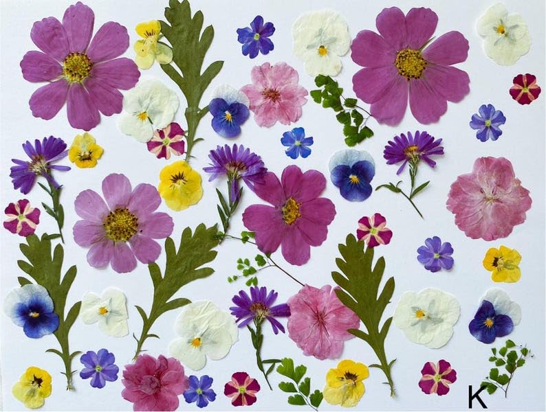 60 piezas de flores y hojas prensadas comestibles para decoración