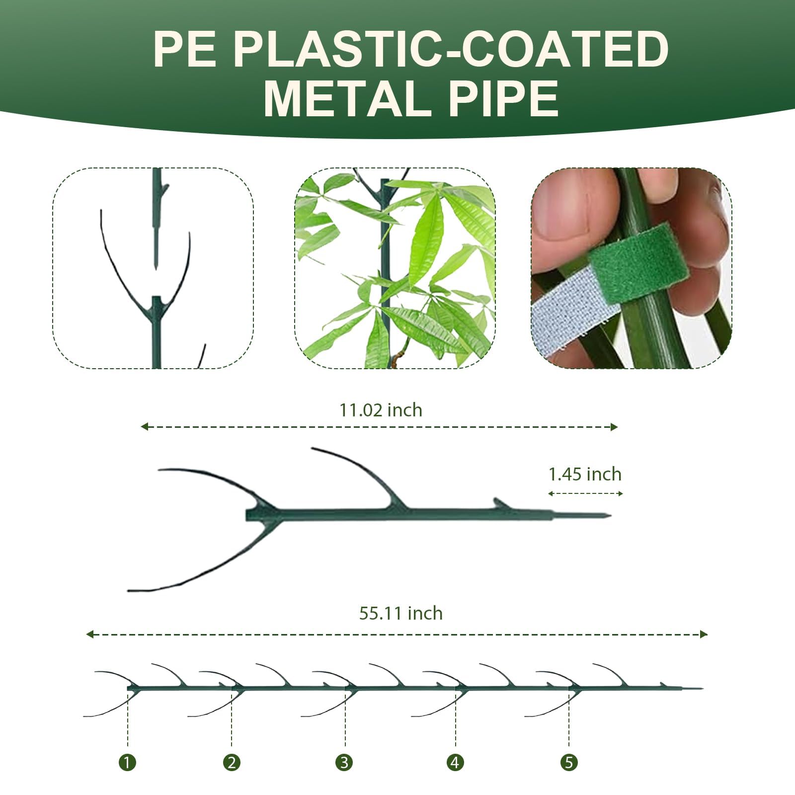 Clips de plantes pour soutien, piquets d'entraînement empilables pour Monstera et autres plantes, stabilisation durable de la tige pour une utilisation dans le jardin
