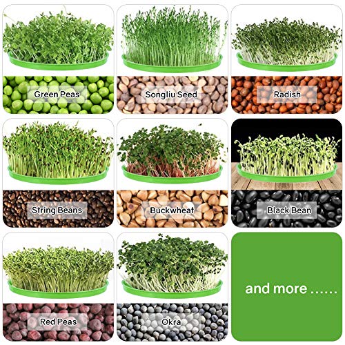 Moistenland Bean Sprouts Machine, Automatic Seeds Sprouter, 2-Layer Germination Trays, LED Display Time Control, Automatic Watering - Thumbnail 5