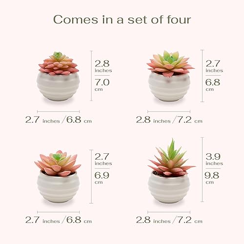 Miniatura 3 de VIVERIE 4 Piezas Suculentas Artificiales Rosa Verde en Macetas (Plástico) - Pequeñas Plantas Artificiales, Decoración de Oficina, Decoración