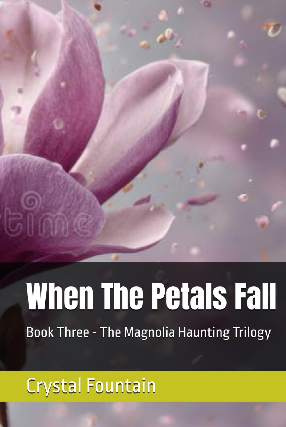When The Petals Fall (The Magnolia Haunting Trilogy)
