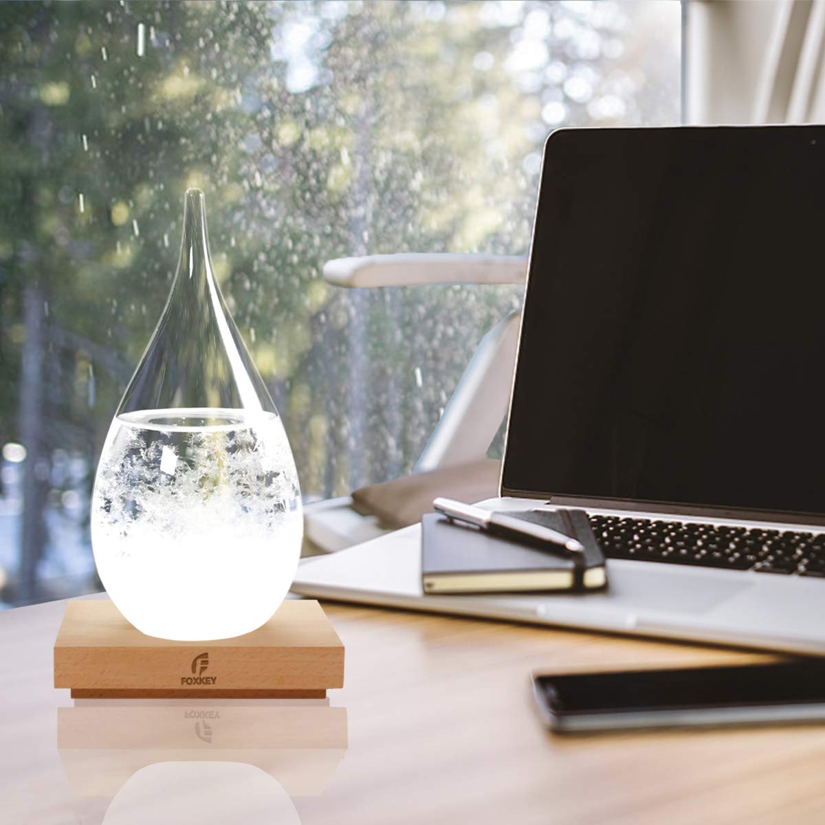 ガラス製 スノードーム ストームグラス2点セット Amazon.co.jp: ストームグラス 天気予測器 天気ガラス スノードーム