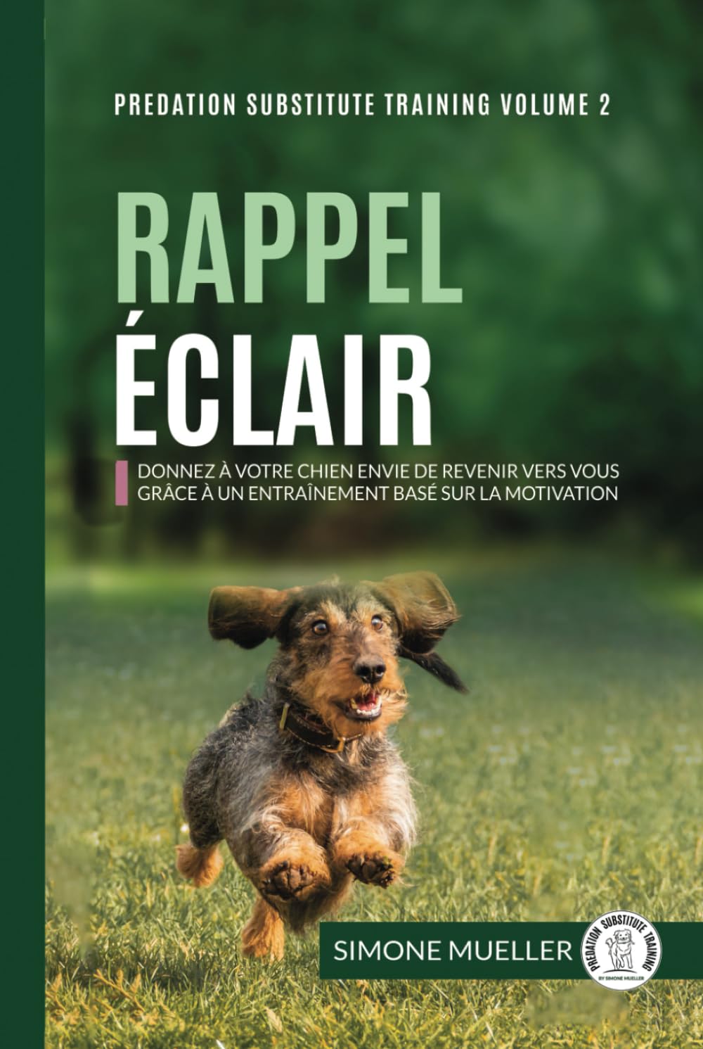 Rappel Éclair : l'art de l'éducation canine positive pour un compagnon obéissant