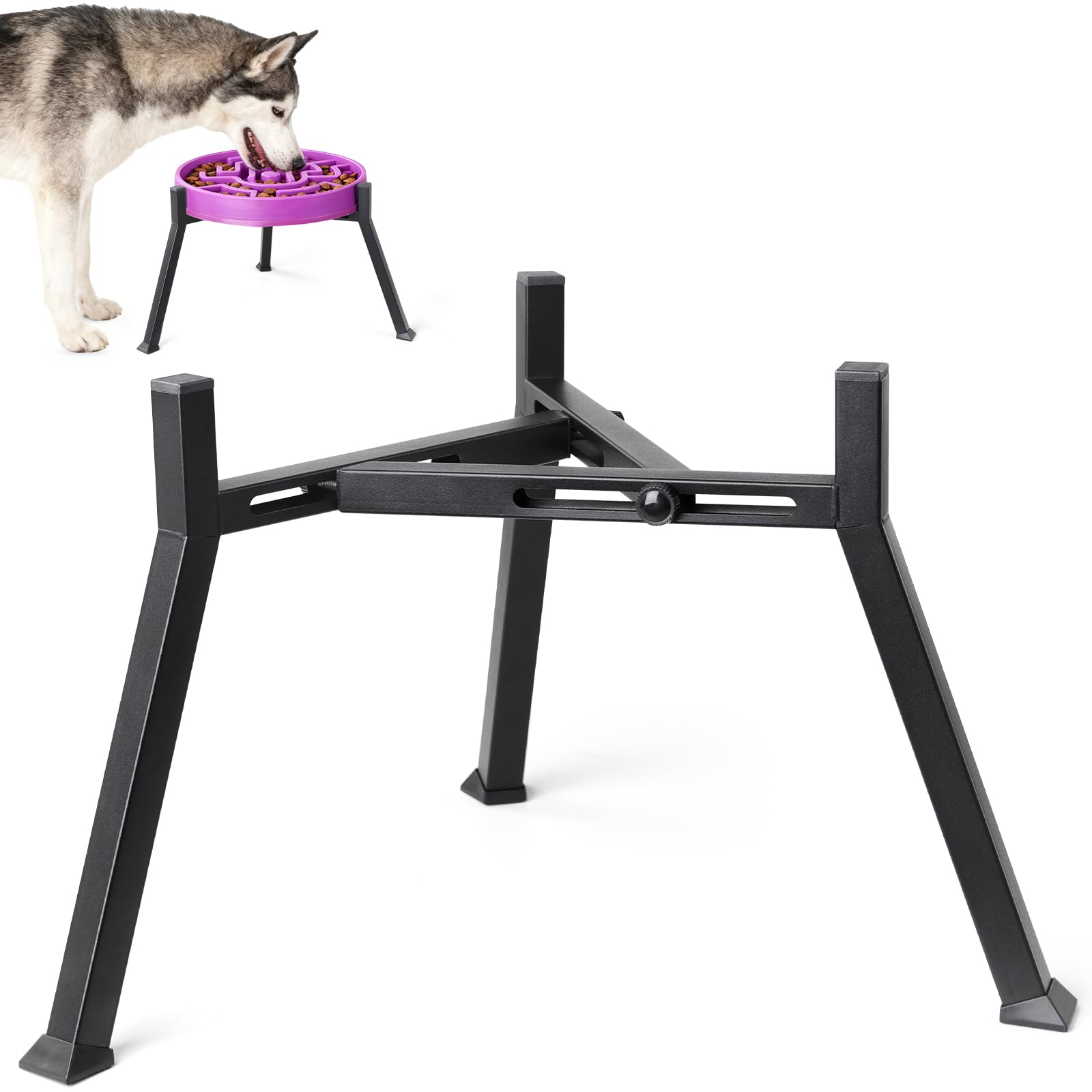 Photo 1 of LOOBANI Elevated Dog Bowl Stand