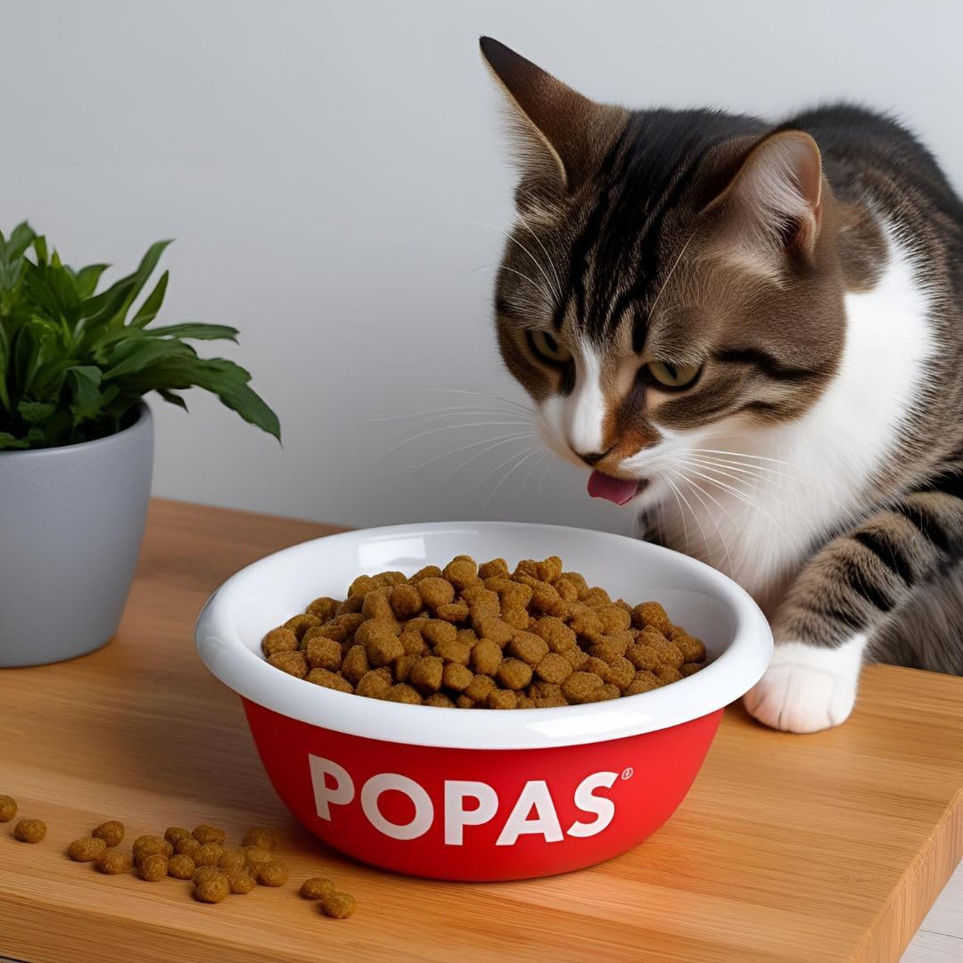 Pienso para Gatos Adultos 15Kg | Star+ Cats Super Premium | Alta Proteína, Piel Sana | 100% Natural