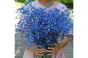 beerfingo Dried-Flowers-Babys-Breath-Bouquet for Home Decor