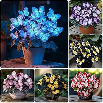 100Pcs Mixed Coleus Plant Seeds