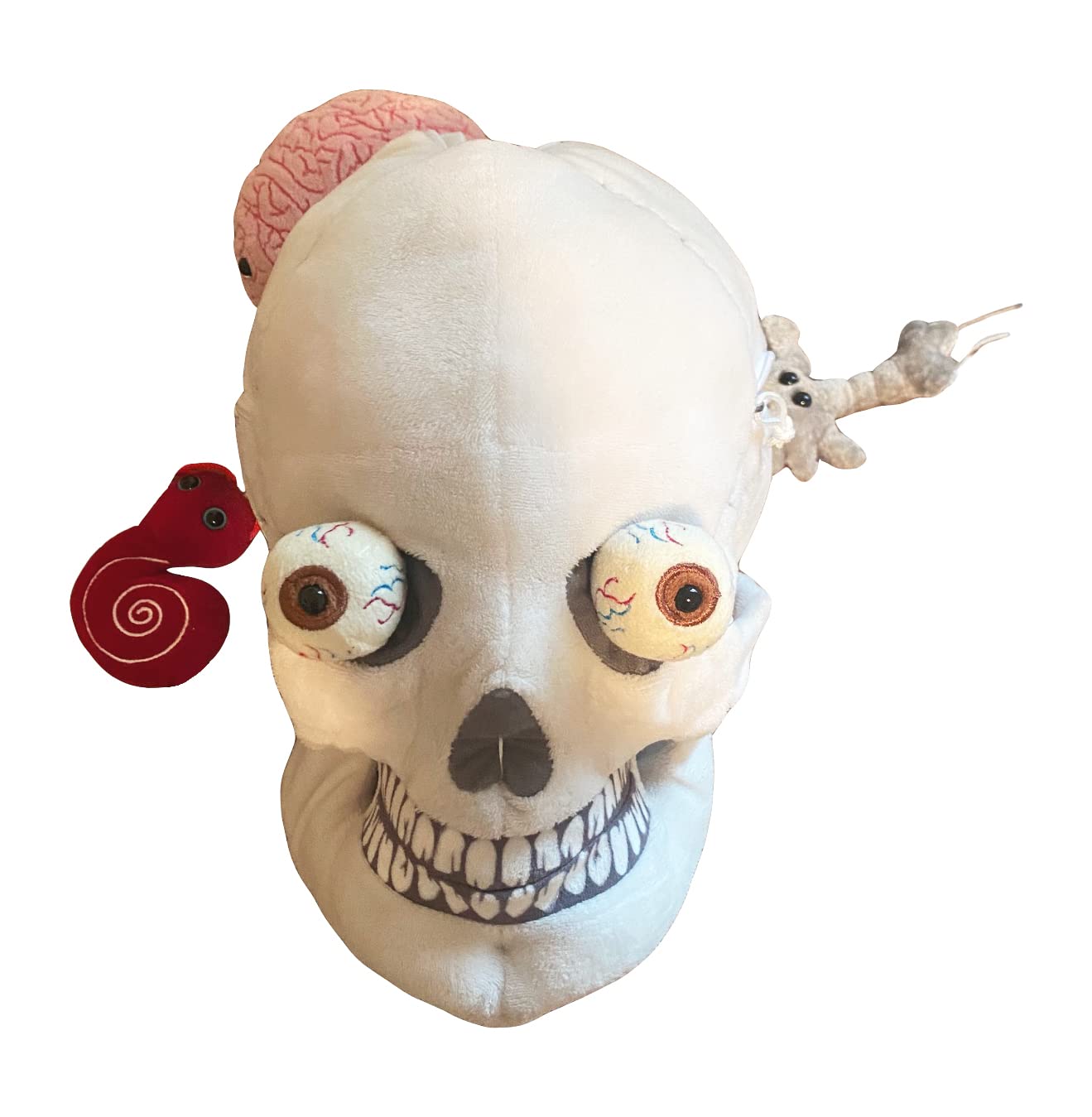 Amazon.co.jp: GIANT MICROBES デラックス スカル 隠し臓器付き