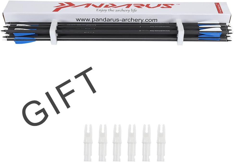 PANDARUS 30" Pure Carbon Hunting Arrows Archery with Removable for Compound & Recuve Bow Target (Pack of 12) : Sports & Outdoors