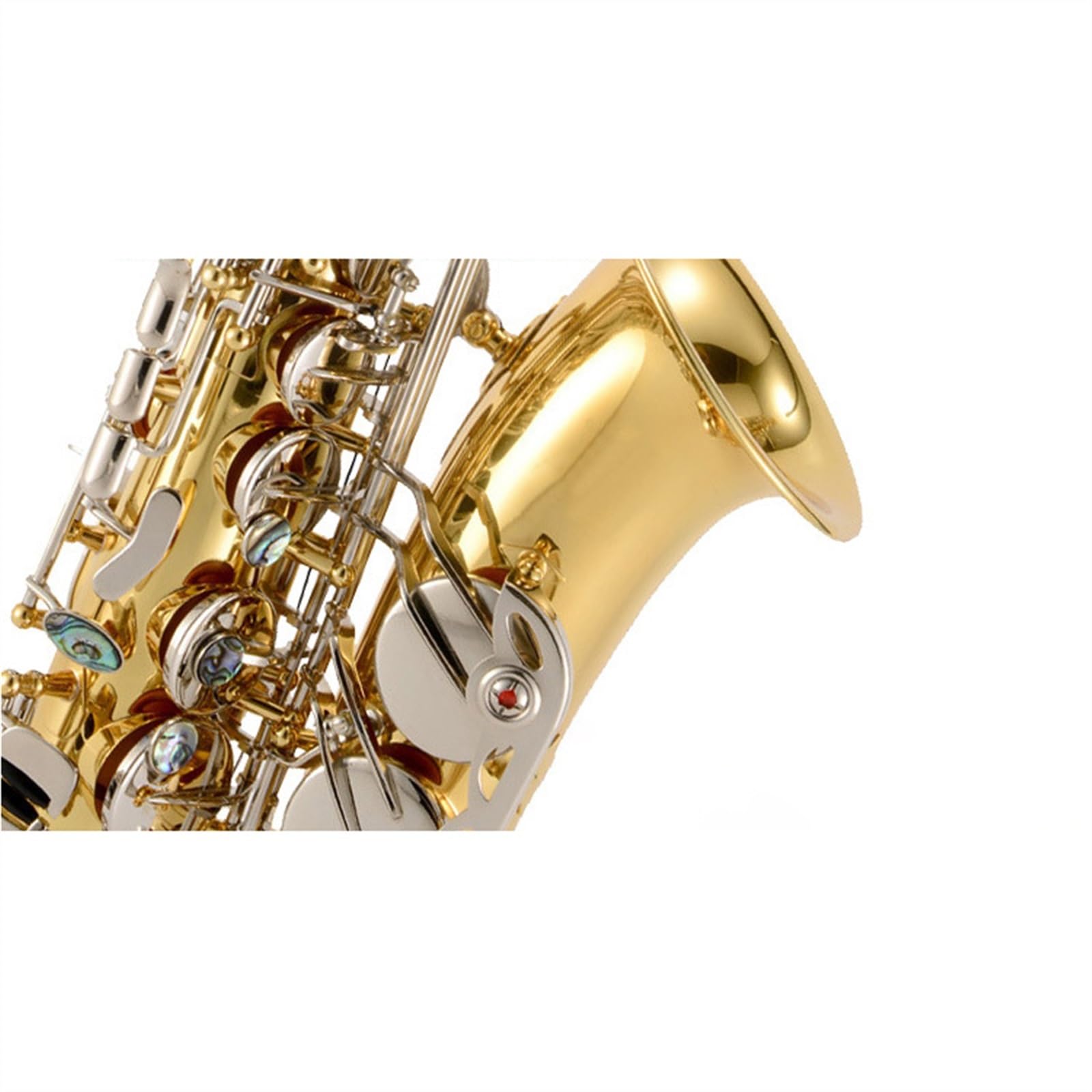 Amazon | プロフェッショナル サックス 真鍮ボディ アルトE