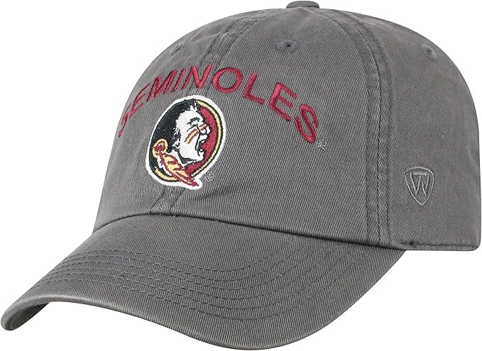 Collegiate Hats - Fitted Caps Adjustable Hats and Snapbacks Available, Florida State Charcoal Arch, One size โ image 1