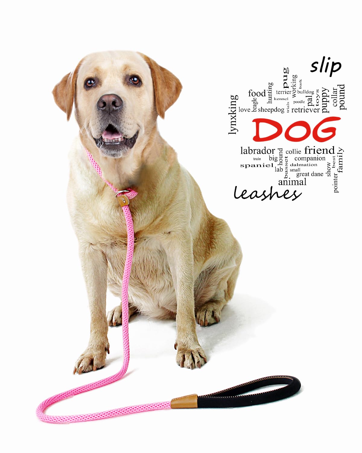 レトリバー Weiner 頑丈な金属製犬用チェーンカラー、バックル付きの大型犬