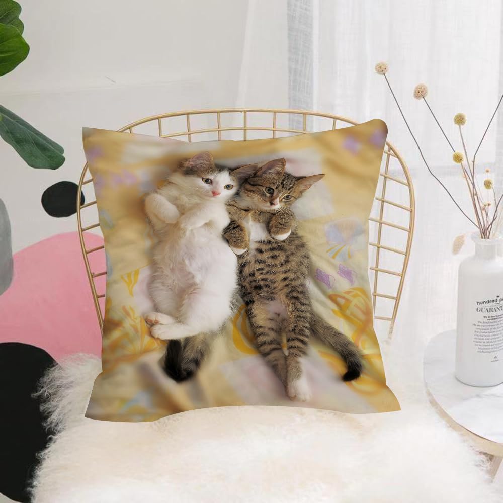 HYOSXW Cushion Cover,Throw Pillow Case Home Decorative for Living Room Bedroom Sofa Chair 16X16 Inch,Funny,Kitten Siblings Lying Beside Sleepy Heads Cat Pe,Pillowcase 40X40cm