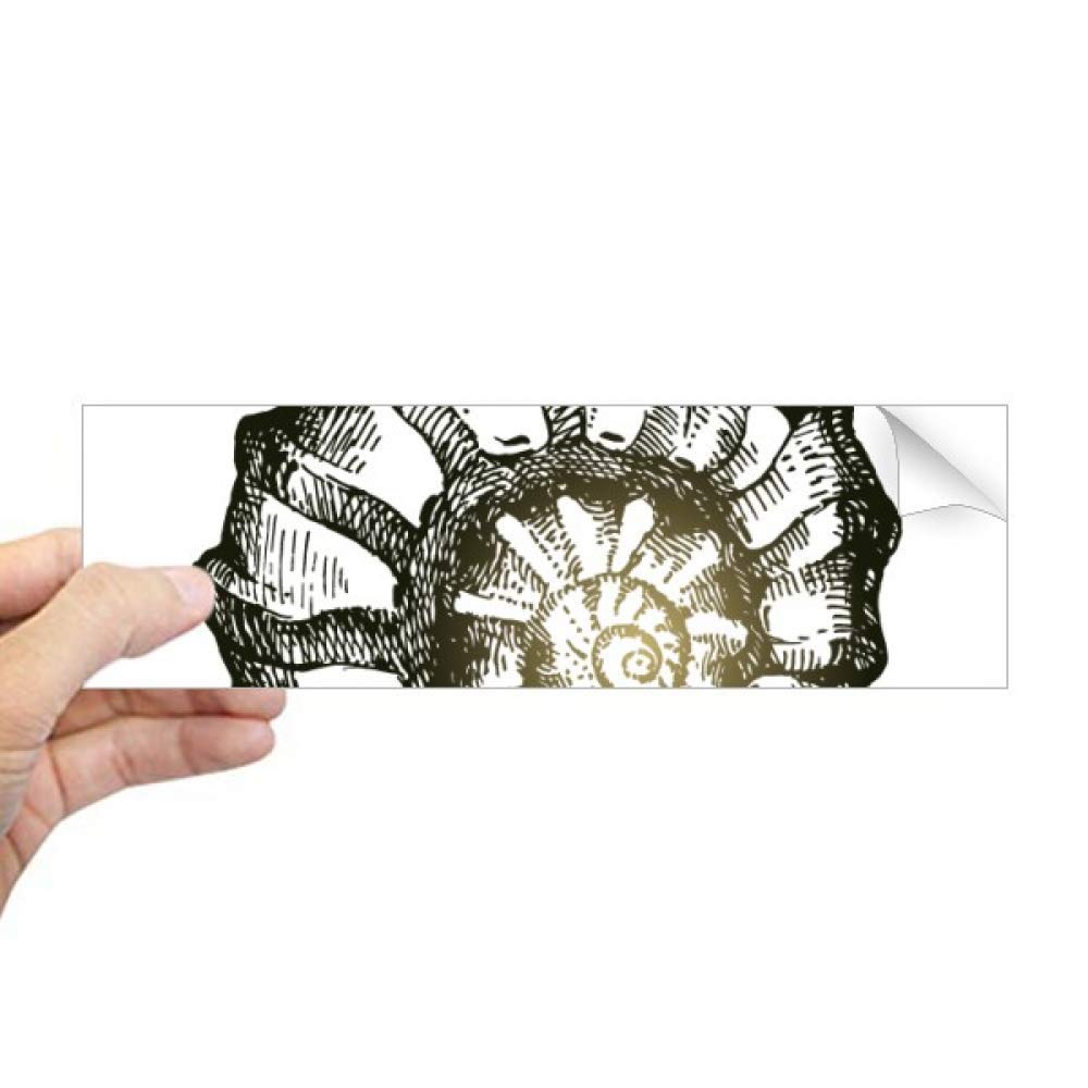 Sticker rectangulaire escargot noir DIYthinker pour fenêtre et vitre