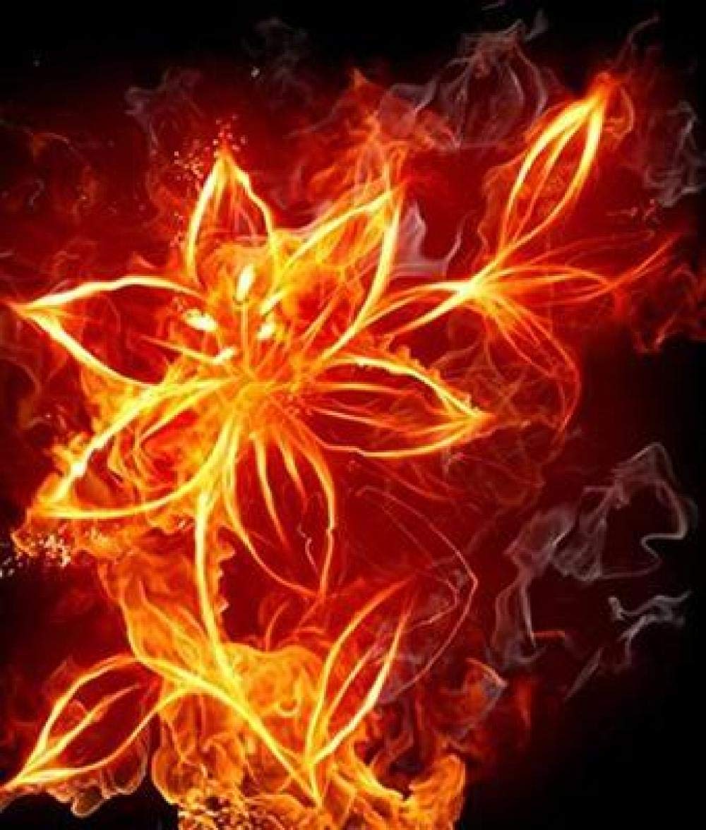Peinture diamant 5D fleur rouge broderie mosaïque carrée 50x70cm
