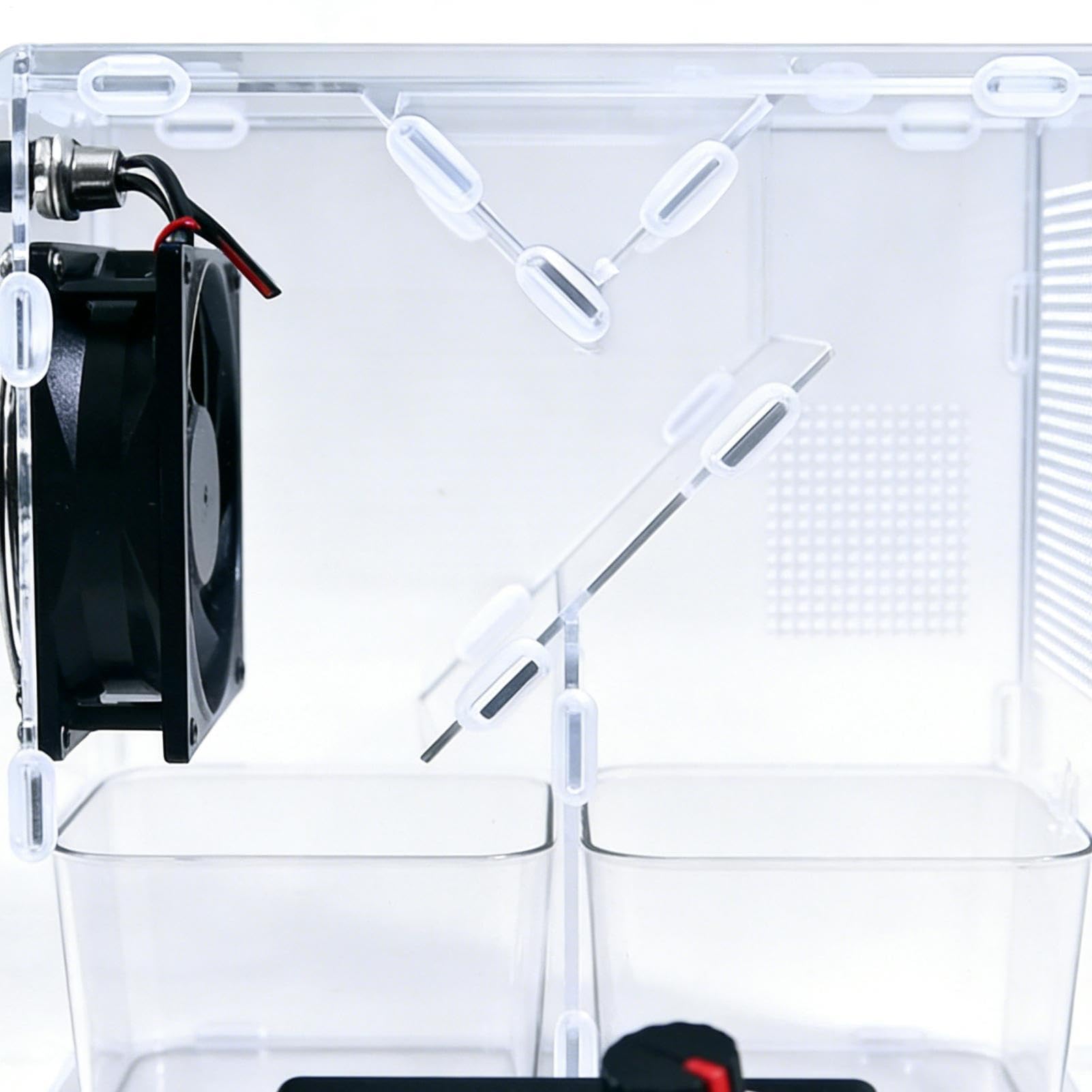 Separador de Cáscaras para Alimento de Aves | Desmontable Eléctrico con Función de Cribado - Soplador de Comida con Colector - para Ninfas, Agapornis, Conuras, Periquitos en Preparación de
