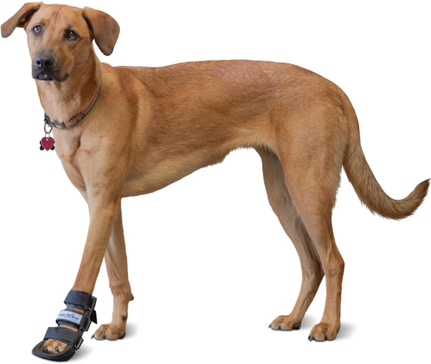 Pet Splint for Dogs Dog Bootie Style Foot Splint for Dogs with