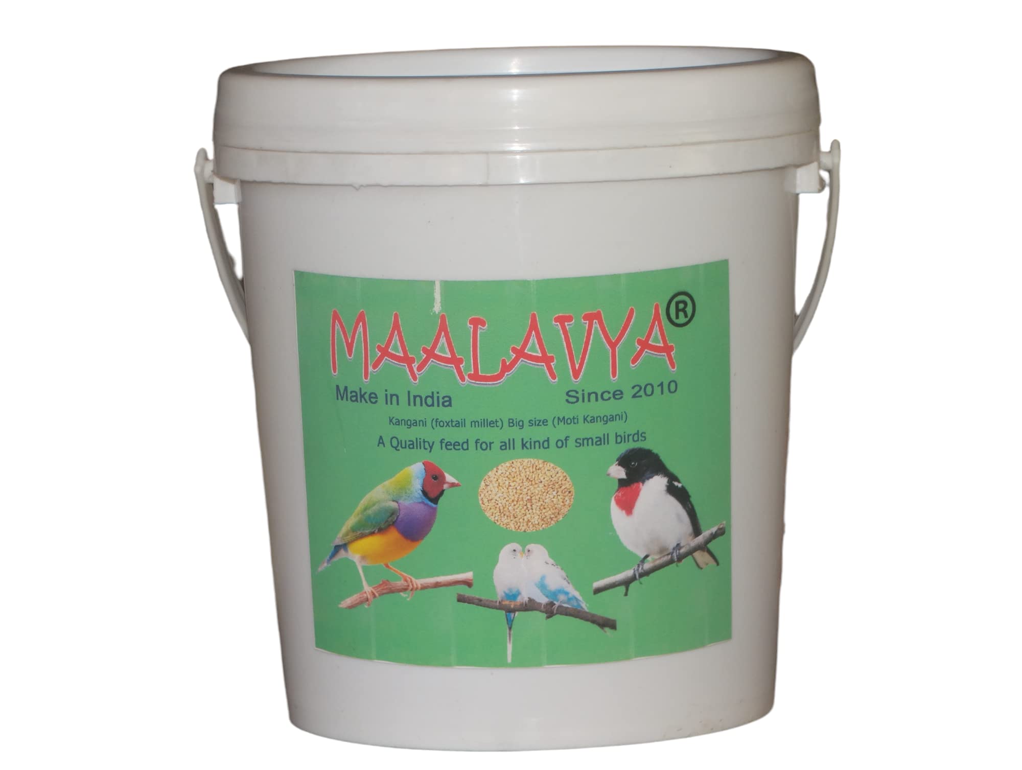 See full amazon price history chart for Maalavya Bird Feed/Food Kangani Foxtail Millet Big Size (Moti Kangani) Bird Feed Specialsts Food 1.8 KG Maalavya Bird Feed/Food Kangani Foxtail Millet Big Size (Moti Kangani) Bird Feed Specialsts Food 1.8 KG (B09X1TVLWV) Amazon Price History, Amazon Price Tracker