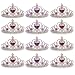 Dazzling Toys 12 Pack Princess Tiara with Pink and Purple Jewels | Kids Princess Crowns | 1 Dozen | Great for Kids to us for Props, Dress Ups, Weddings, Halloween and More