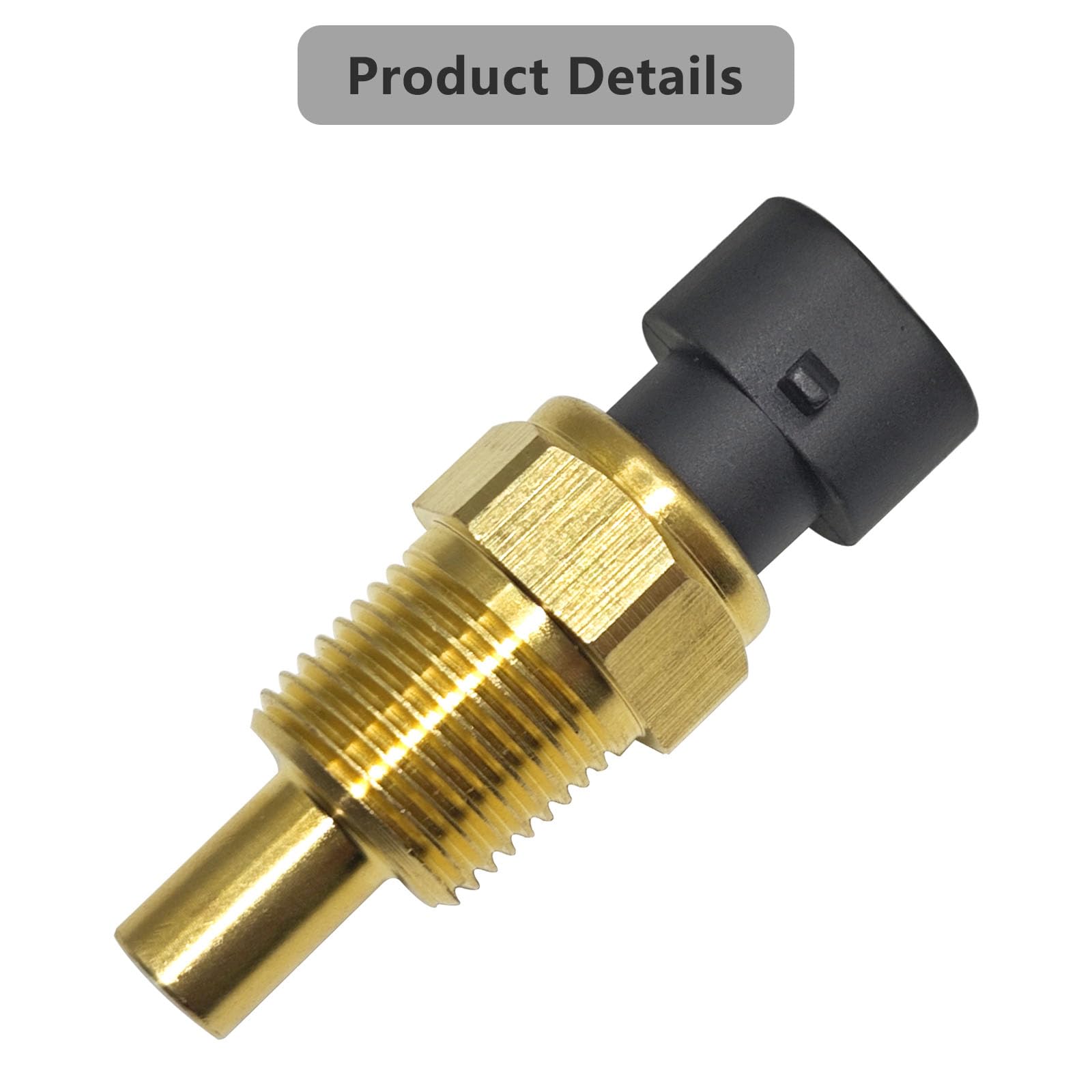 Amazon.com: Engine Coolant Temperature Sensor 213-4396 05744030  