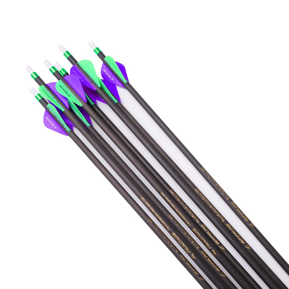 Flèches en Carbone 300-800 Spine Pointe Amovible 2" Plume Plastique pour Arc Recurve Arc à Poulies Tir à l’Arc