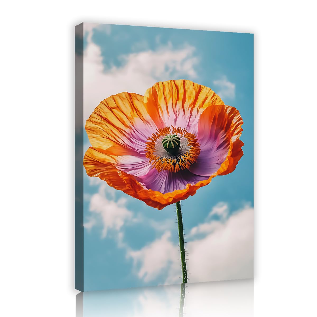 TOANGWALL Orange Poppy Canvas Wall Art Blue Sky Clouds Flower Painting Botanical Wall Posters Framed Art Prints Modern Pictures Graphic Mural For Living Room Decor 80x120cm