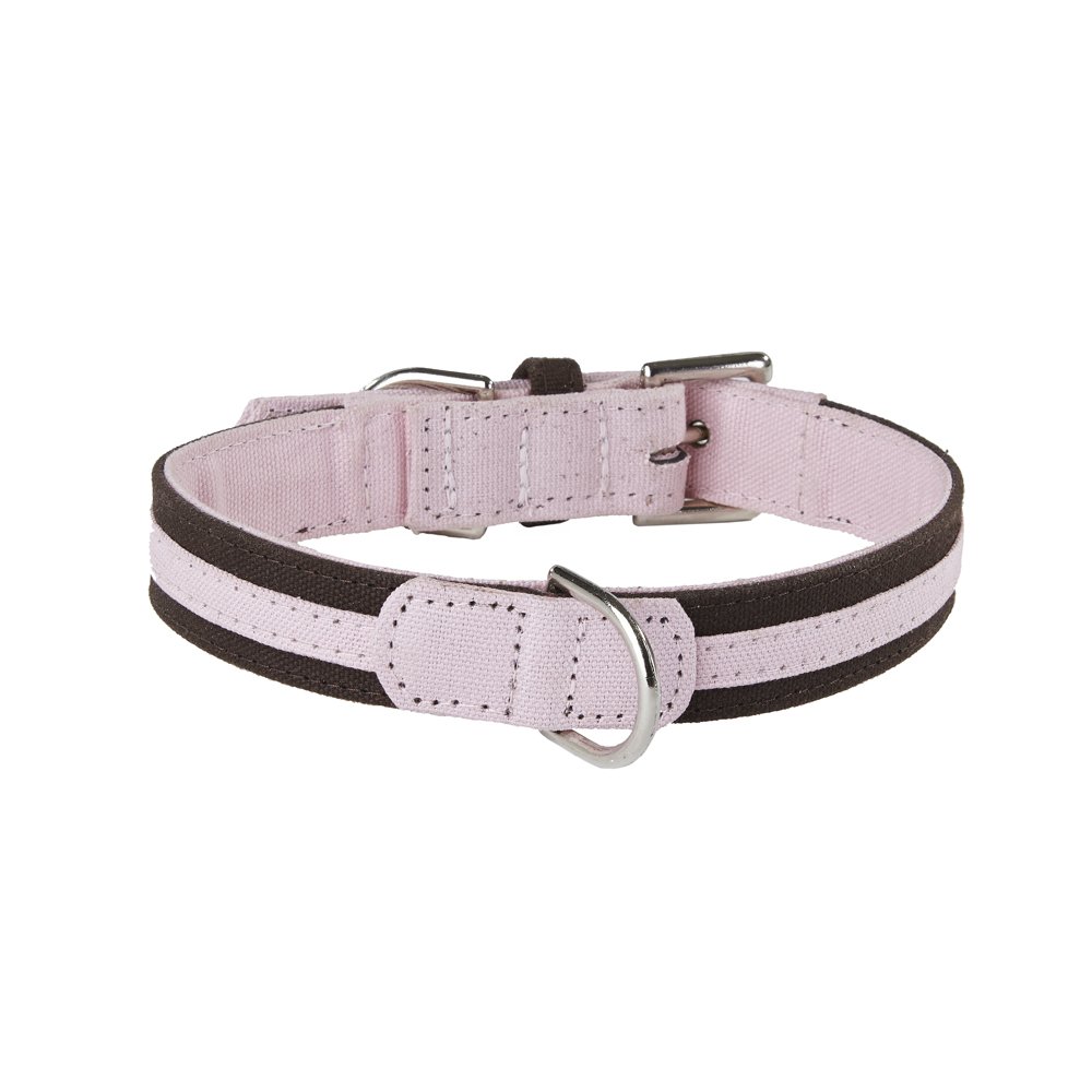 Collier de chien XL pour des balades urbaines élégantes