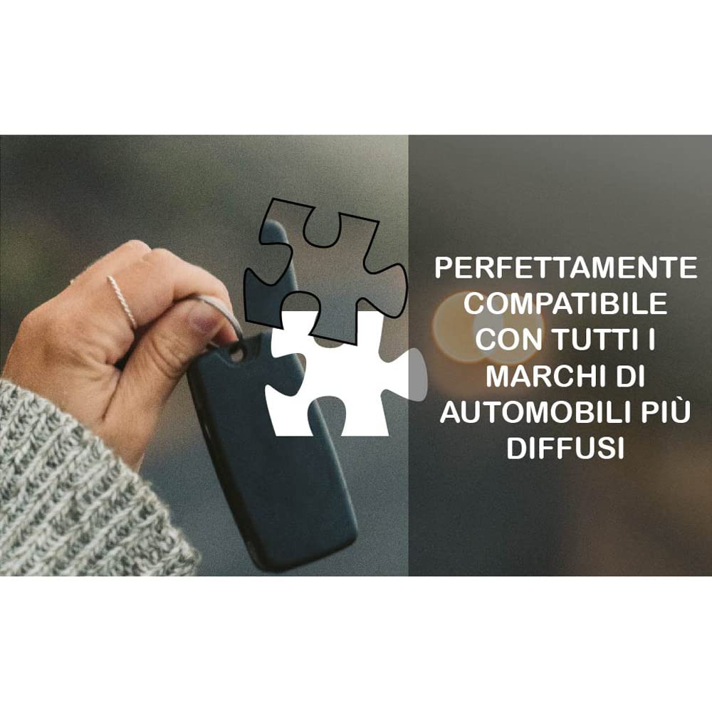 SALPIE Guscio Chiavi Auto Custodia Compatibile Fiat Panda 2003-2013 Copri Chiave 3 Tasti