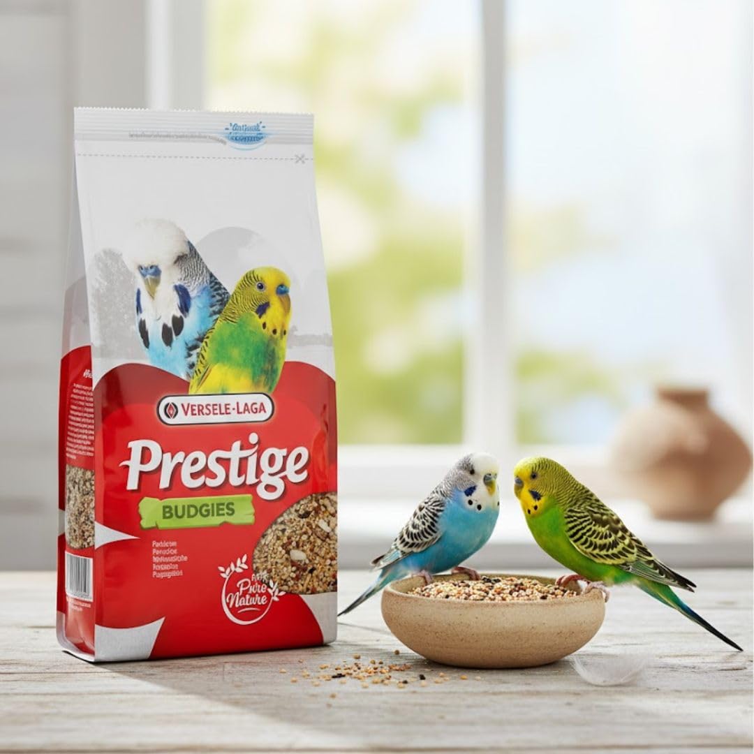 Versele-Laga Prestige Budgies | 1 kg | Alimento completo per cocorite | A base di semi di qualità