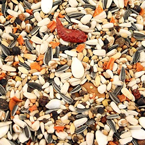 Exotic Seed Mix with Fruits and Nuts, Added with Spirulina & Cuttlefish Bone, Bird Food for Medium Parrots, African Grey, Macaw, Cockatoo and Umbrella Cocktail (500GM)