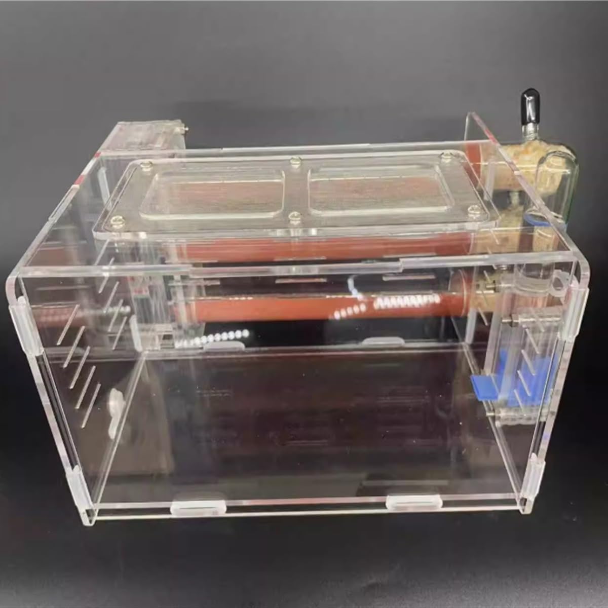 Formicarium Hormiga Hormiguero, Ecológico, Tubo De Ensayo, Nido con Torre Agua, Castillo Hormigas Granja Hormigas