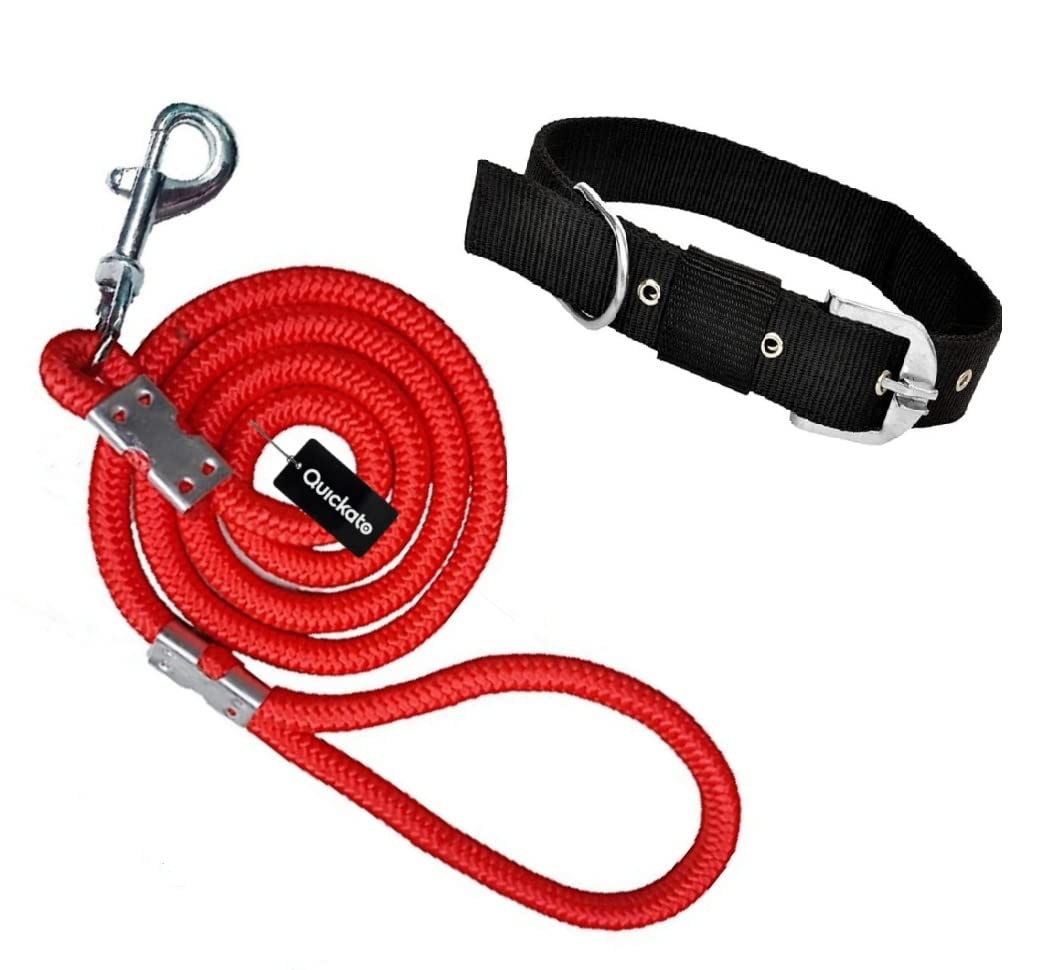 Quickato Dog Neck Collar Belts and Leash Set (Red Color, Medium, Nylon, Leash Size 1.5M-2M) (B09TWH3VGS) Amazon Price History, Amazon Price Tracker