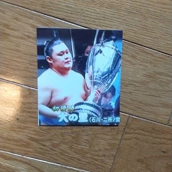 Amazon.co.jp: 大の里 直筆サイン色紙 優勝時写真 優勝