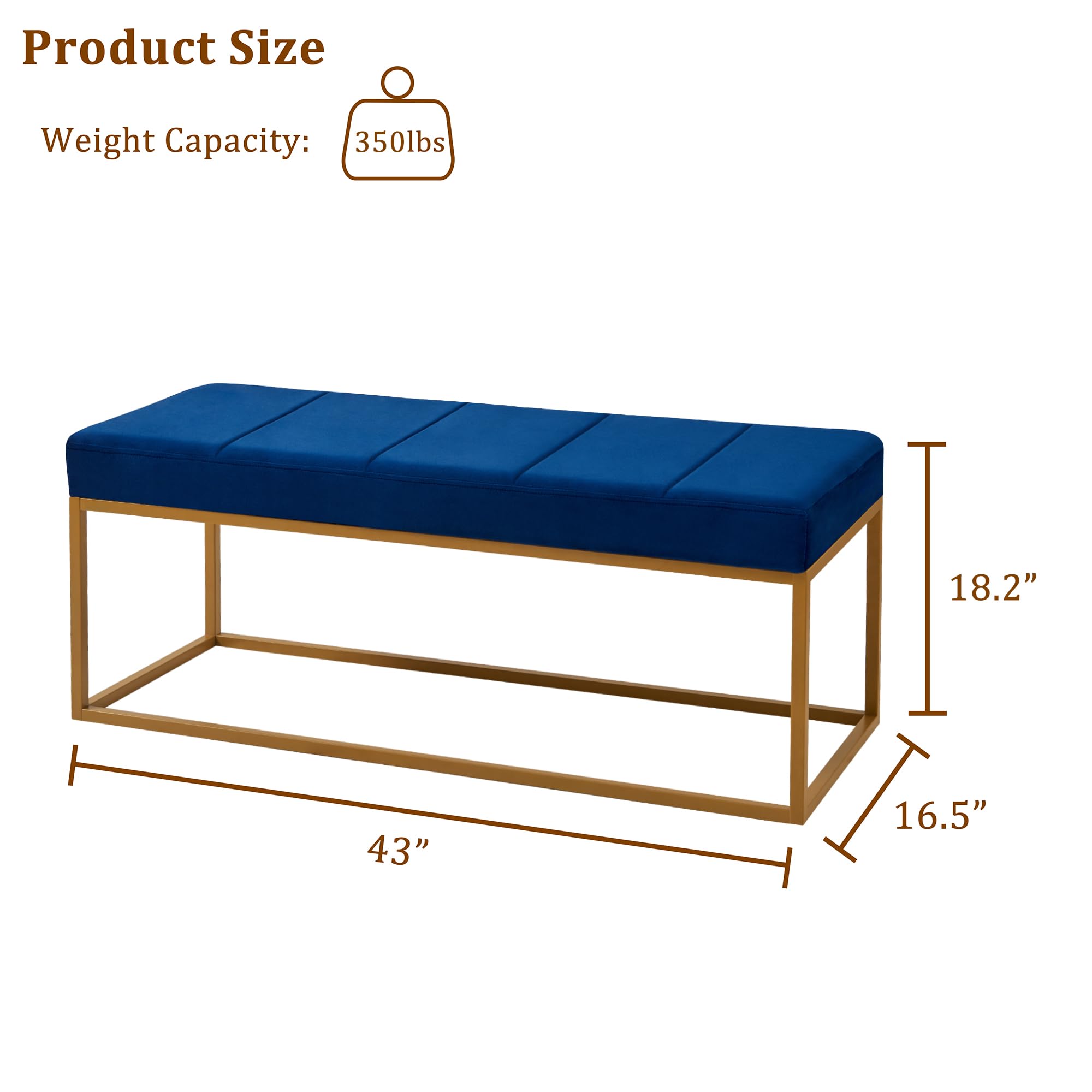 https://m.media-amazon.com/images/I/61RjNvMTfLL.jpg
