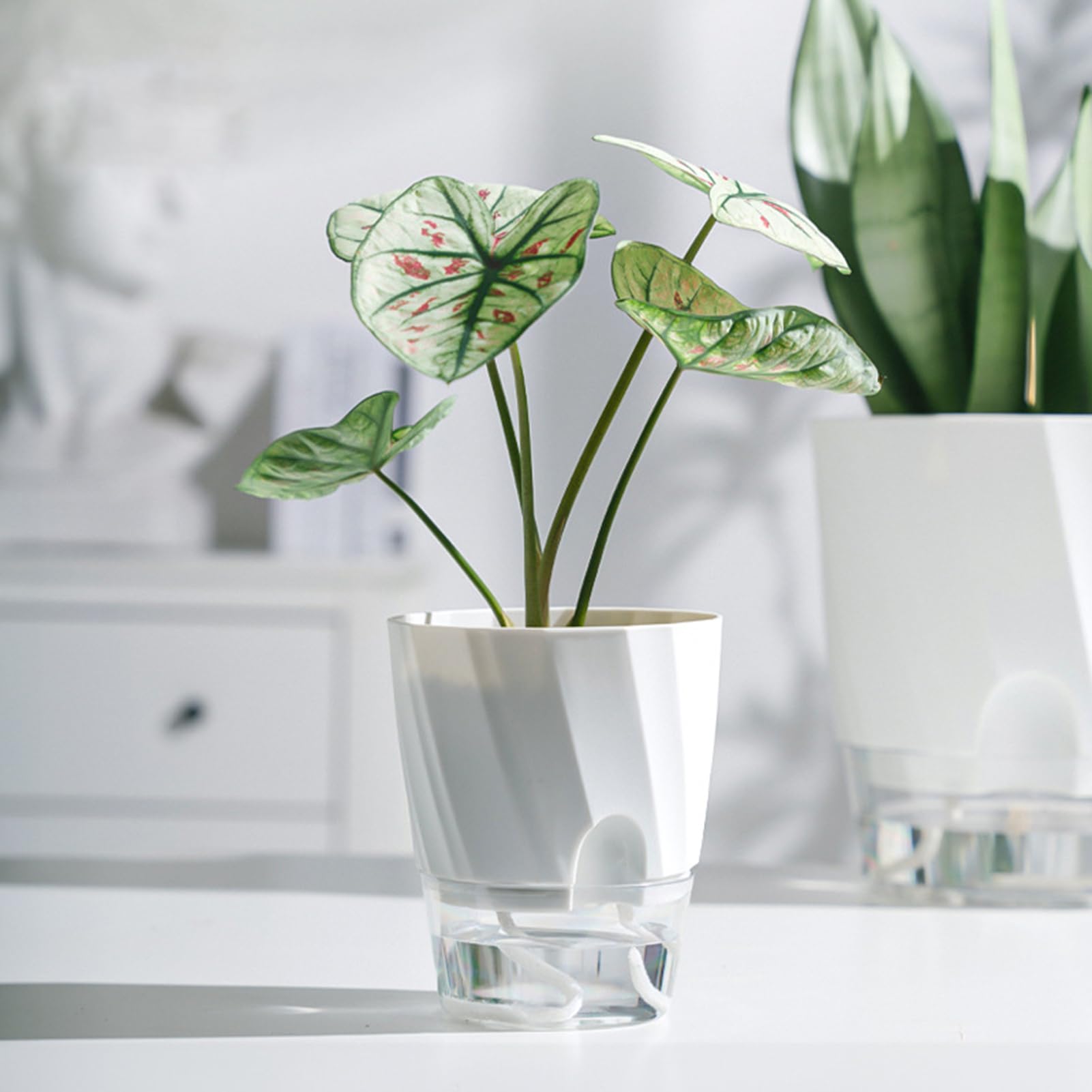 Lot de 3 pots à arrosage automatique avec trou de drainage - Réservoir transparent - Pour intérieur et extérieur - Avec soucoupe - Avec corde de mèche