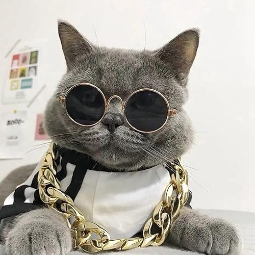 Miniatura 7 de 1 collar de cadena de oro para perro, collar de plástico para perro, cadena para mascotas, accesorio de disfraz para bulldog francés, no se