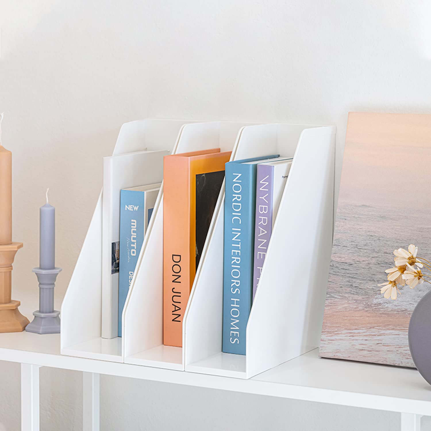 carrotez Office Rack/Display