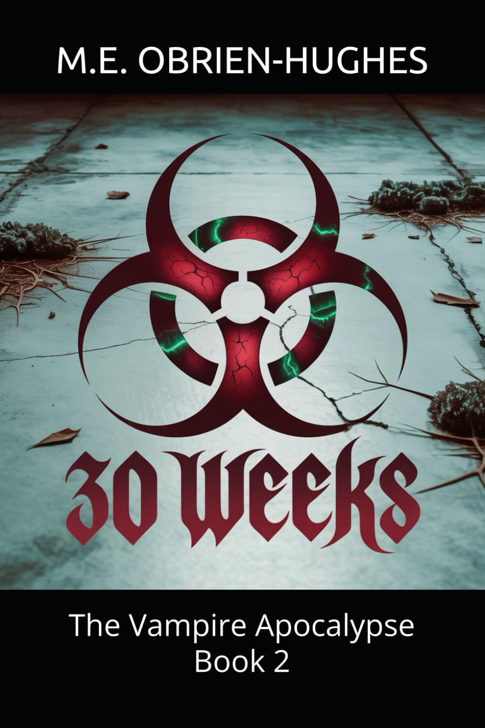 30 WEEKS: The Vampire Apocalypse Book 2 (VAMPIRE APOCALYPSE TRILOGY)