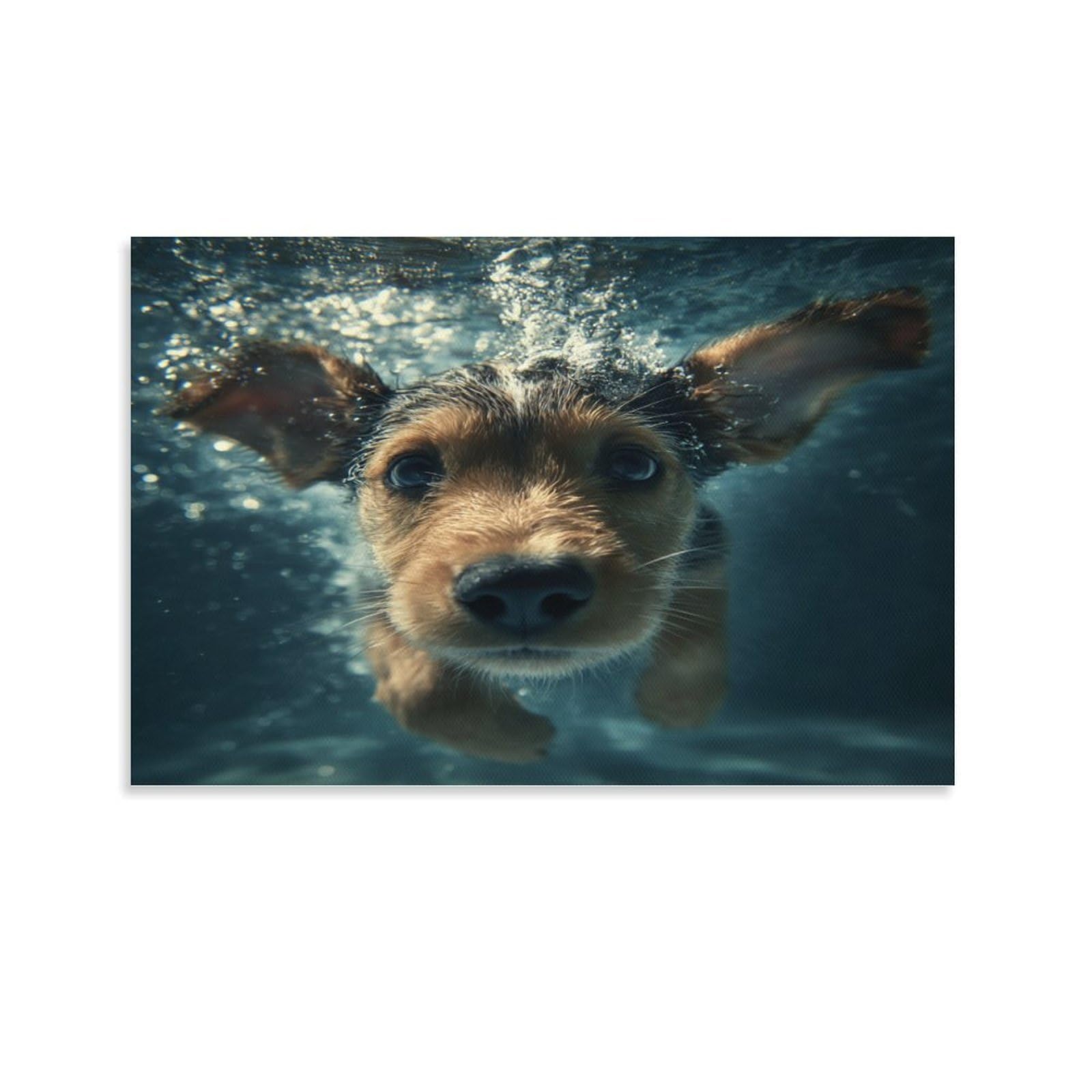 CPLVKWRQJ Dog Single Piece Puppy Swimming Underwater Framed Wall Art - Living Room Gallery Wall Focal Point Ready to Hang Decor 20x30inch(50x75cm)