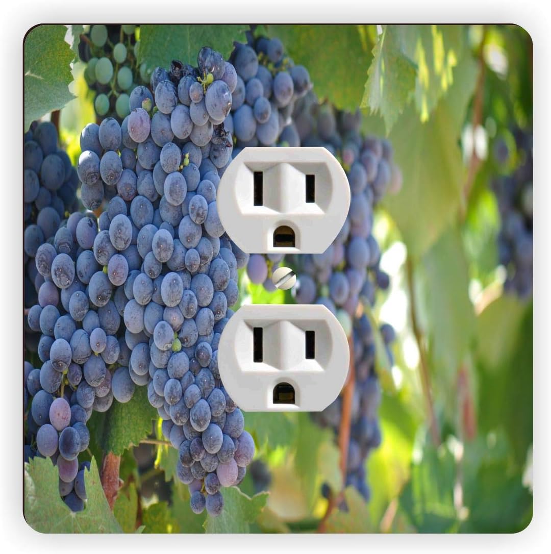 Red Wine Glasses on Beautiful Vineyard Background -Light Switch Plate Cover - Double GFI Double Rocker - Two Gang Switch Plate Cover Switch Plate Cover