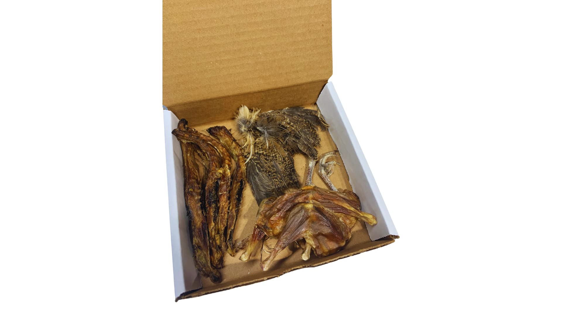 Undique Bird Dog Training Kit Quail Hunting