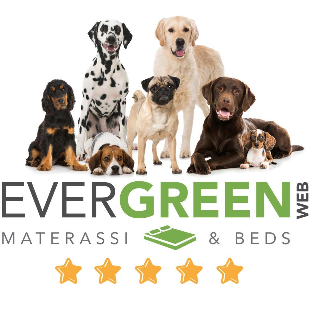 evergreenweb – Cama para perros 45 x 65 cm de tamaño pequeño, Relleno de Lazo Water Foam efecto pluma Suave lavable, caseta de interiores con cojín desenfundable, colchón para animales Domésticos, Rex