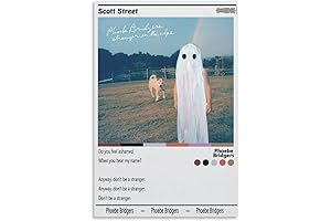 RoyalLuxury Scott Street Phoebe Bridgers Canvas Print - Wall Art for Bedroom,...
