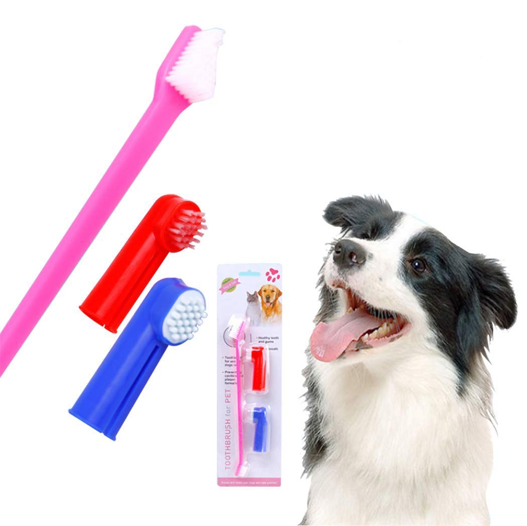 Pups&Pets Adult Pets Cleaning Dental Manual Toothbrush Set Of 2 With 1 Double Headed Toothbrush, Finger Toothbrush All Breed Cats, Dogs And Puppies (Color May Vary) (B09PC255CG) Amazon Price History, Amazon Price Tracker