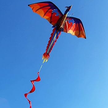 #スカイスポーツ カイト 中国　濰坊　風箏　魚凧　海外商品　风筝 kite 美品 SPORT KITE | スポーツカイトショップ風屋-KAZEYA-/スーパー