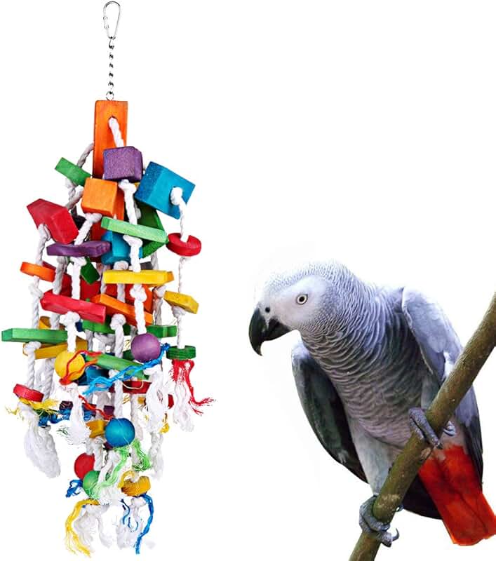 Amazon.co.uk african grey parrot toys