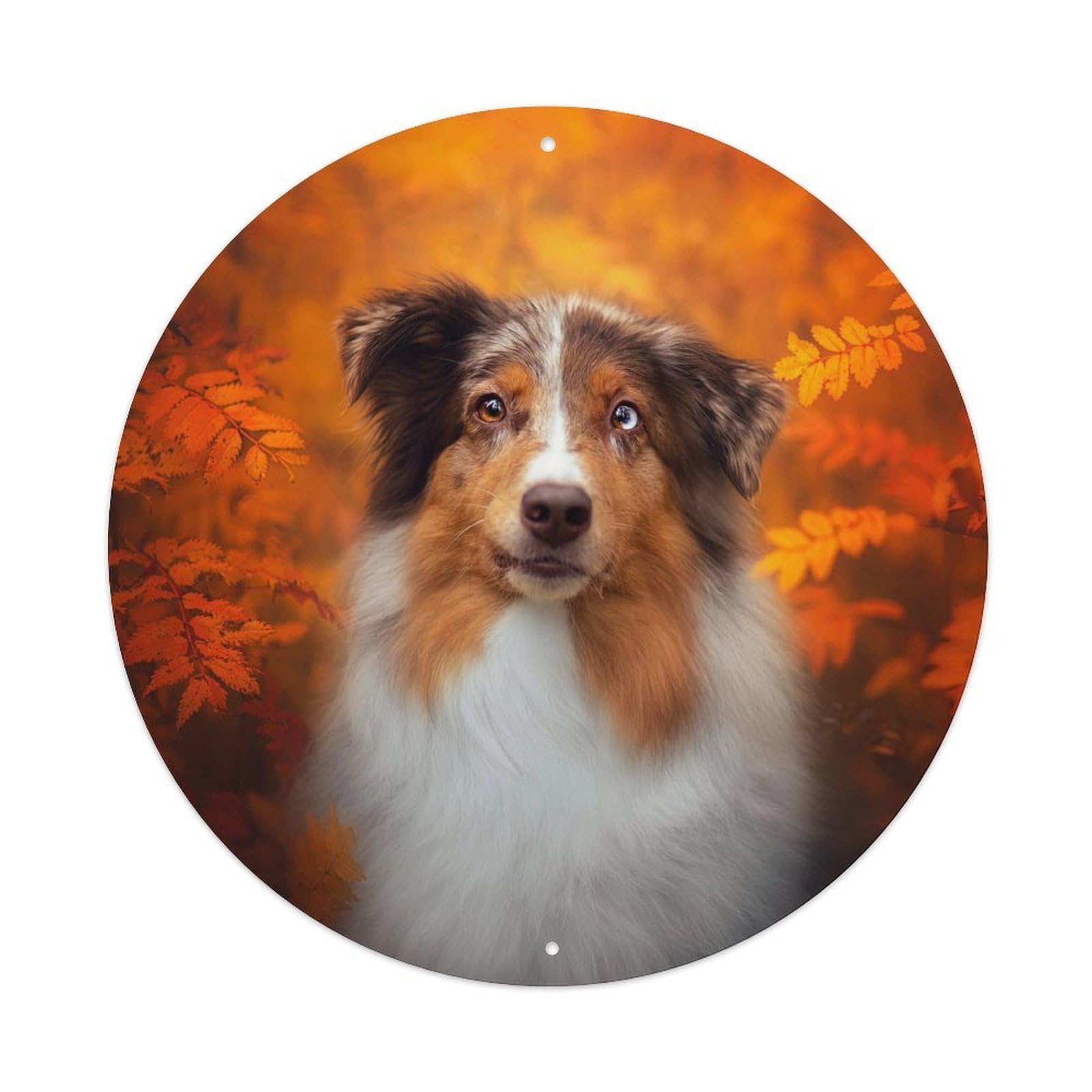 Cwbufd Vintage Style Australian Shepherd Autumn Portrait With Warm Light And Fall Leaves Vintage Metal Tin Sign Plaque Wall Decor For Cafe, Club Bar, Office, Garden Metal Poster 8X8inch