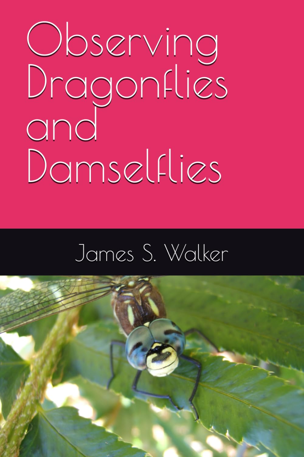 Observing Dragonflies and Damselflies